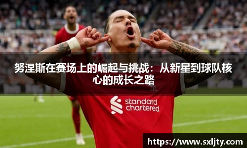 xk星空体育官网